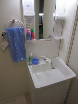 Washroom. Happy independence washbasin