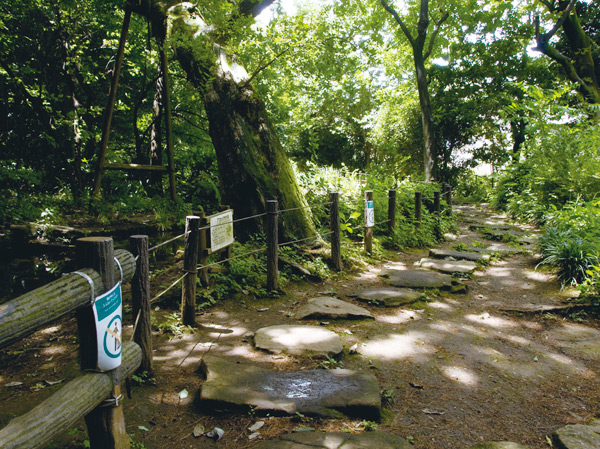 Surrounding environment. Hayashi試 of Forest Park (about 2250m / Bicycle about 9 minutes)