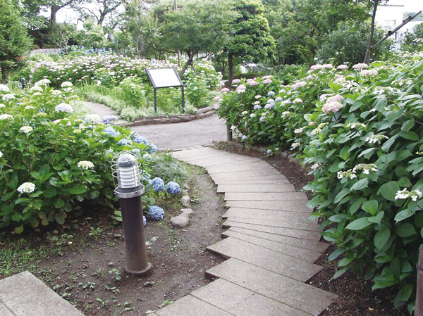 Surrounding environment. Tama stand park (about 4000m / Bicycle about 16 minutes)