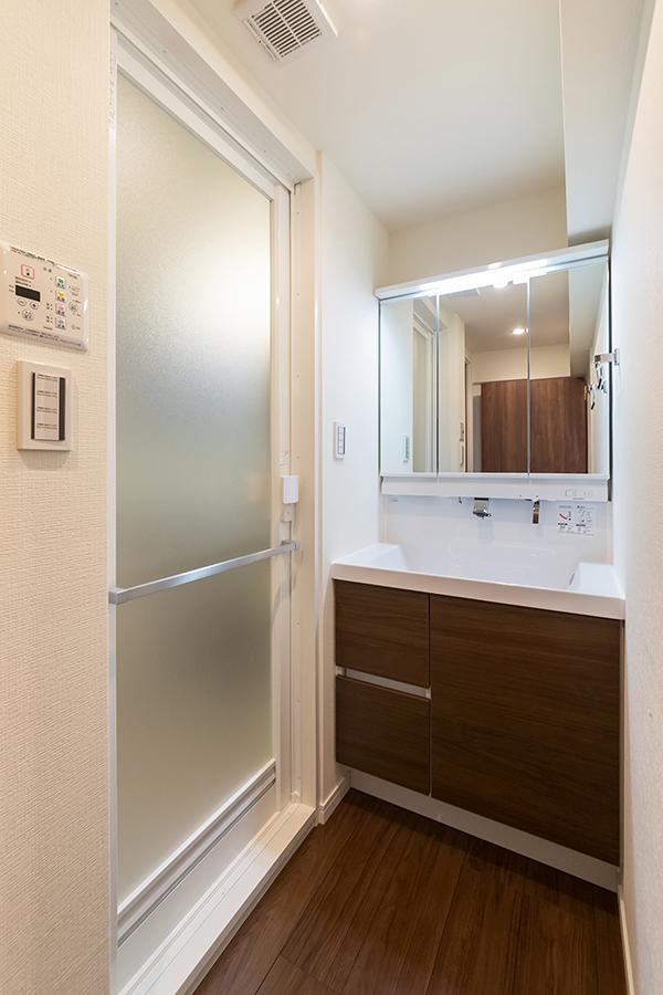 Wash basin, toilet. Bathroom vanity