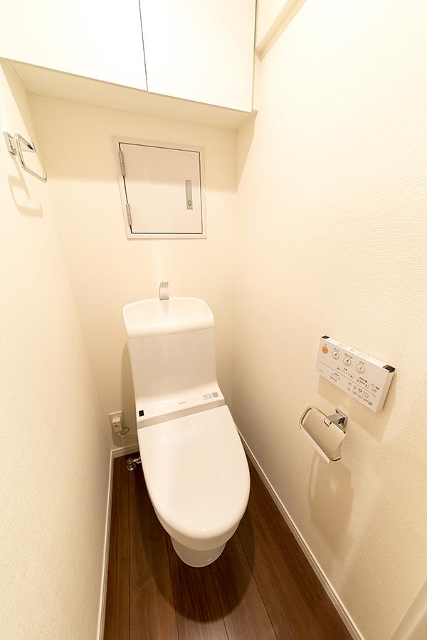Toilet. Bidet with toilet