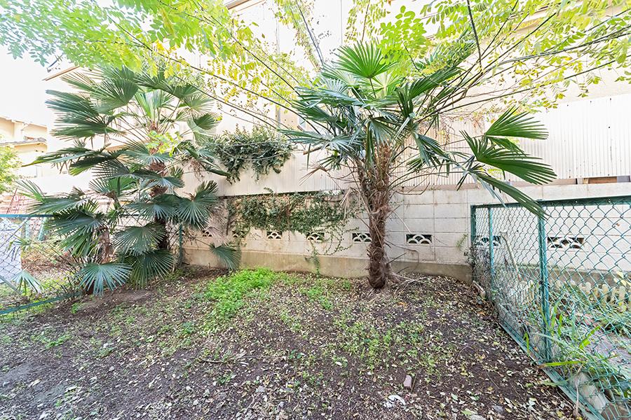 Garden. Private garden of about 16 sq m