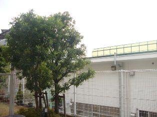 View photos from the dwelling unit