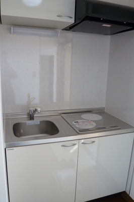 Kitchen. System kitchen (IH stove, 2 burners) ☆