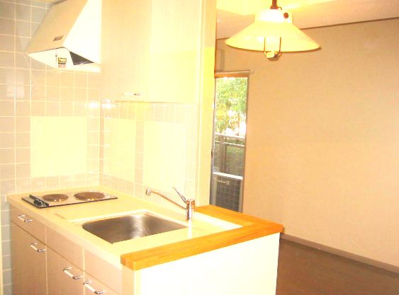 Kitchen. Counter Kitchen