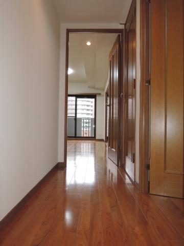 Other introspection. Corridor part