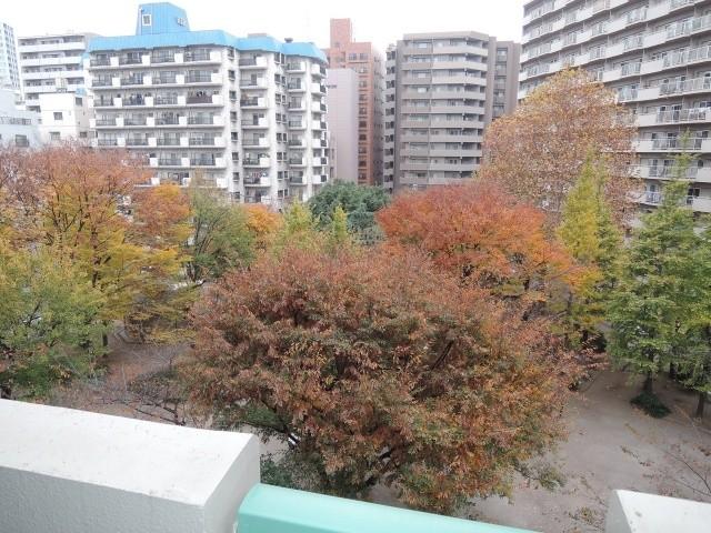 View photos from the dwelling unit