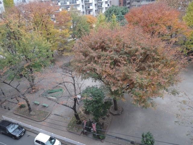 View photos from the dwelling unit