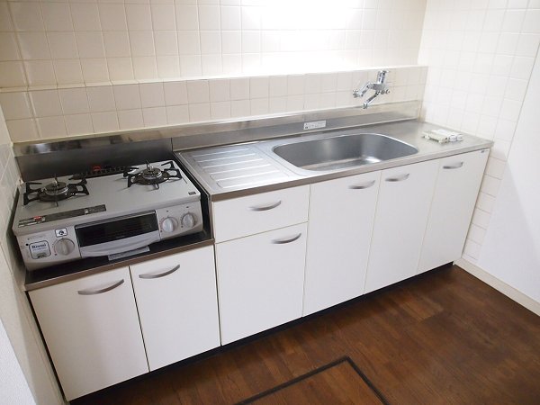 Kitchen. Put even dishwasher-wide kitchen