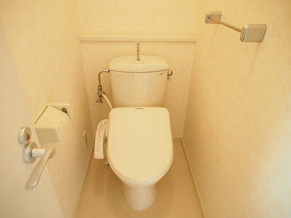 Toilet. Warm water washing toilet seat is one of the popular equipment