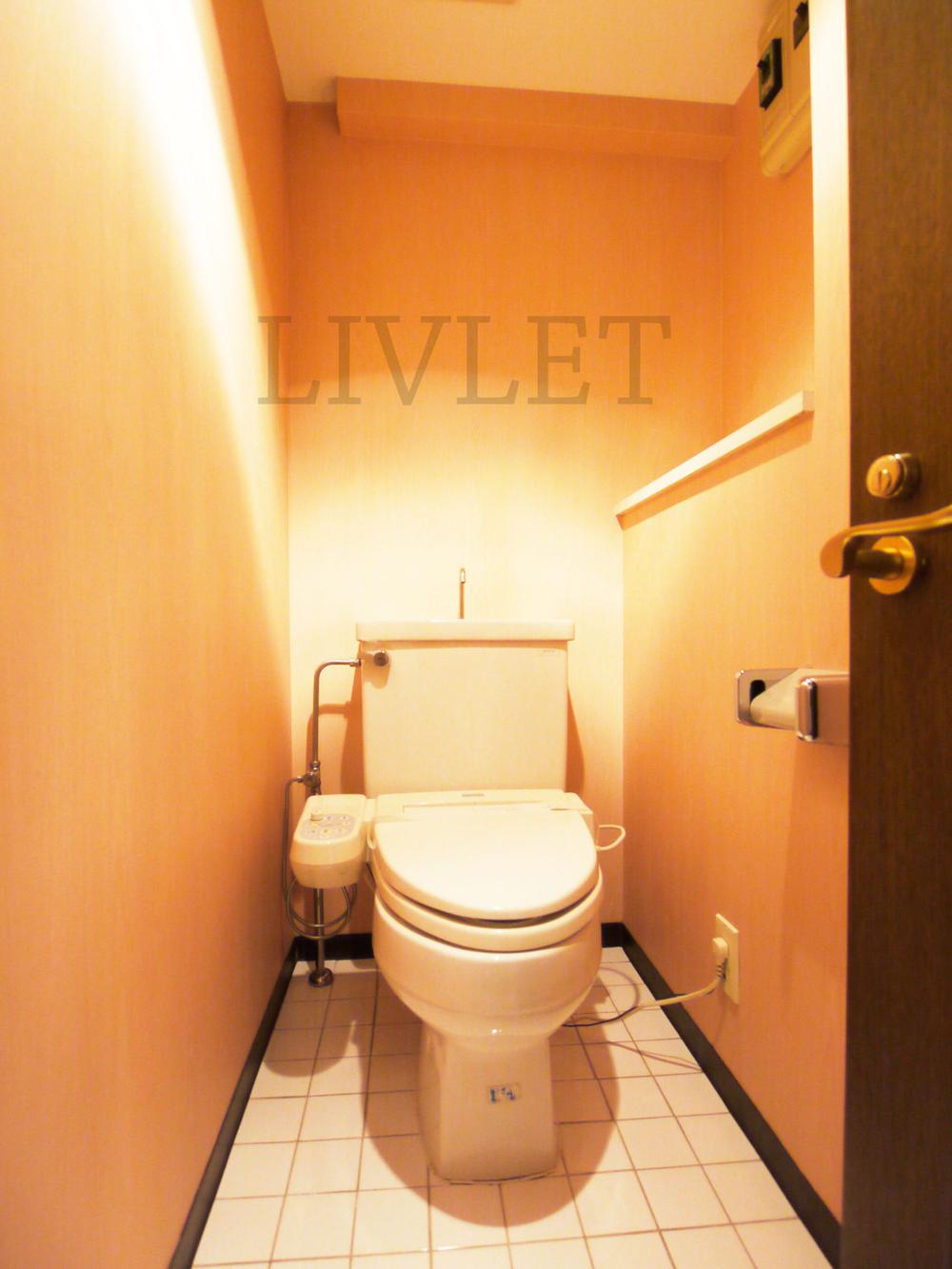 Toilet. Local (April 2013) Shooting