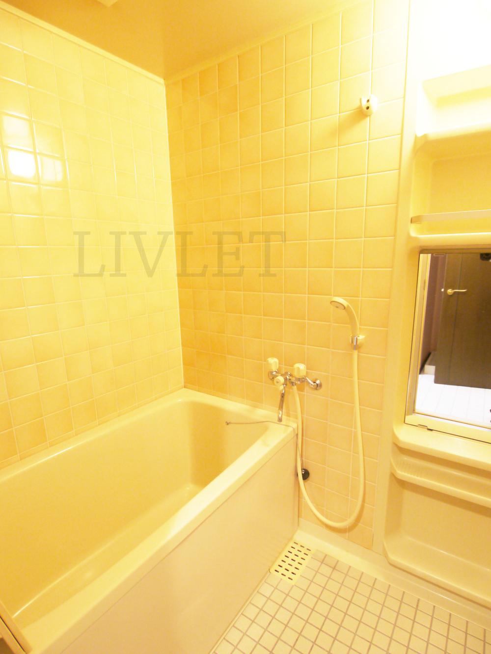 Bathroom. Local (April 2013) Shooting