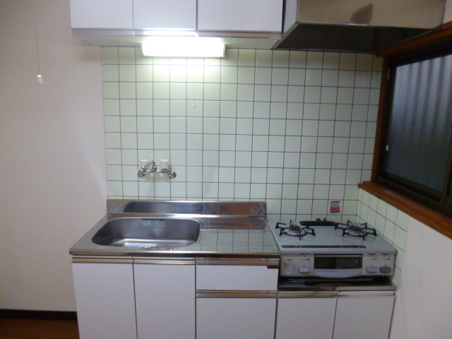 Kitchen. Gas stove 2-neck