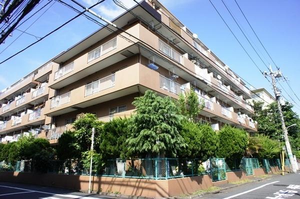 Local appearance photo. Local (May 2013) Shooting