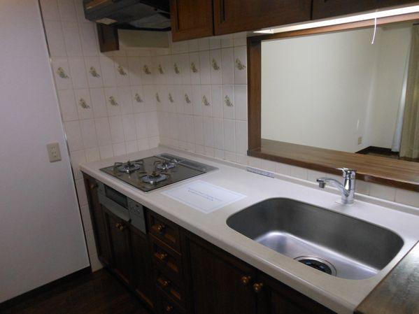 Kitchen. Family conversation while face-to-face kitchen where dishes can (2013 October shooting)