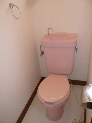 Toilet. Toilet