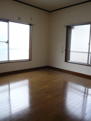 Living and room. Western-style two-sided lighting