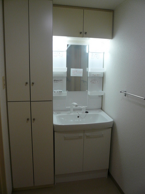 Washroom. Shampoo dresser