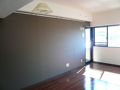 Living and room. living 12.1 Pledge