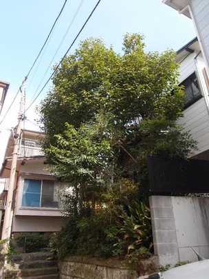 Local land photo. Local is. Toei is Asakusa "Magome" Station 6-minute walk.