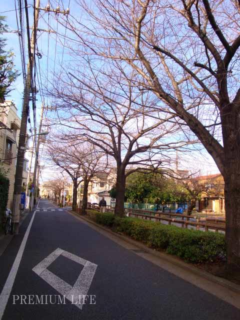 Other local. Without any tall building, Idyllic landscape