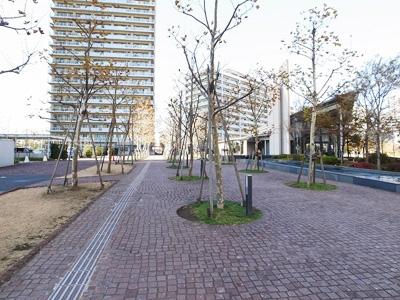 Other common areas. Common areas courtyard