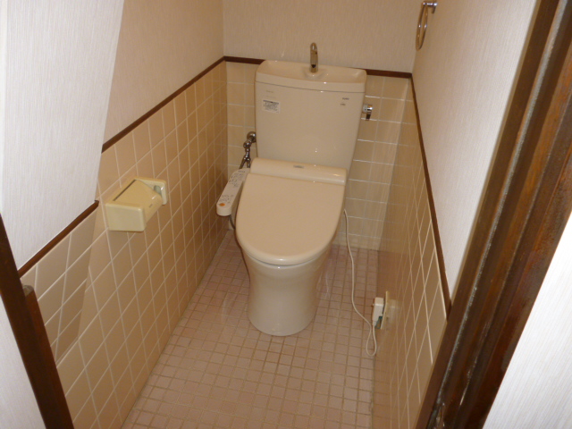 Toilet. Separate reference photograph
