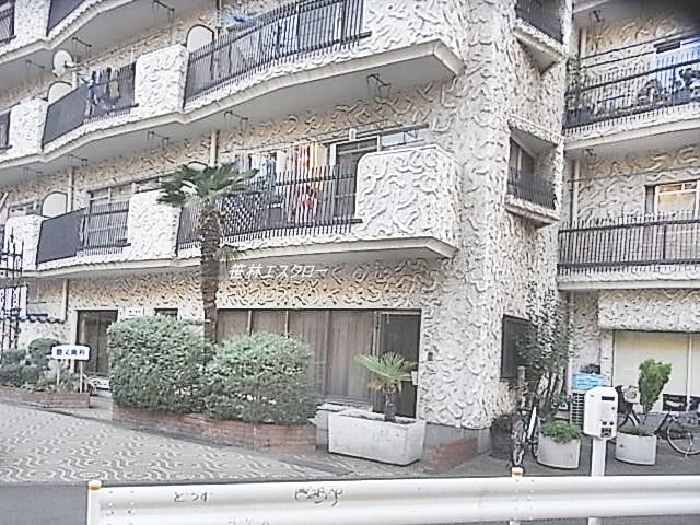 Entrance. Common areas