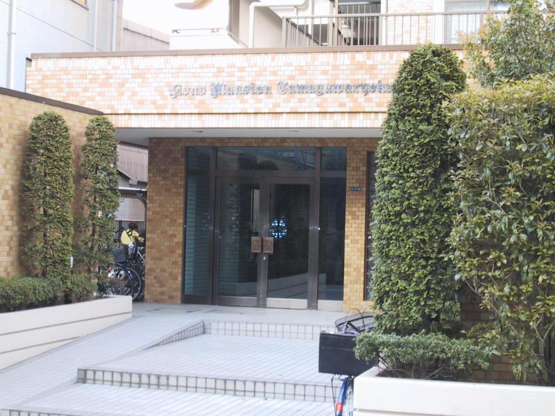 Entrance. Common areas