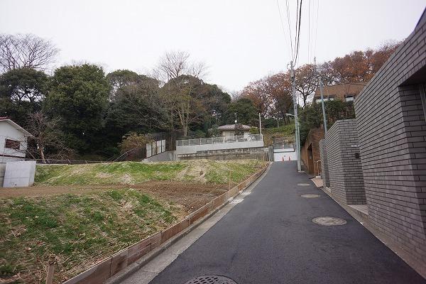 Local photos, including front road