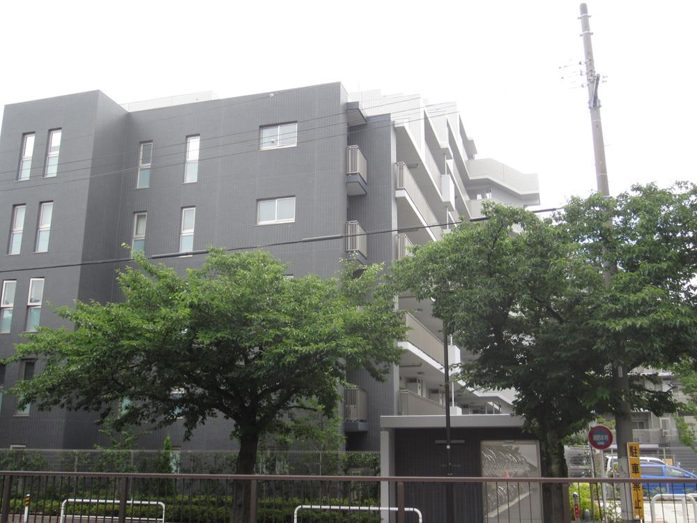 Local appearance photo. Appearance (2013 November shooting)