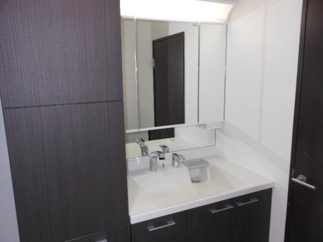 Other introspection. Wash basin