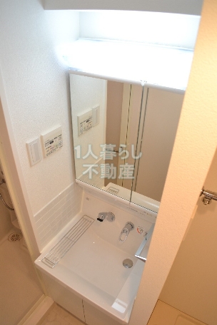 Other. Mirror large independent wash basin with