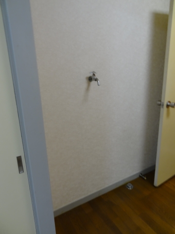 Other. Washing machine is indoor.