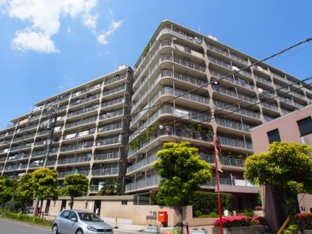 Local appearance photo. Local (12 May 2013) Shooting