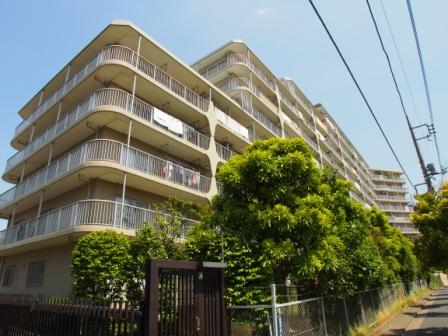 Local appearance photo. Local (12 May 2013) Shooting