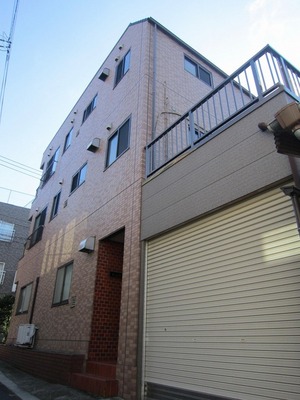 Building appearance. Of Steel Mansion