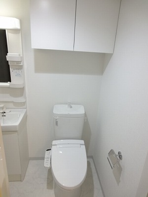 Toilet. Shower toilet!