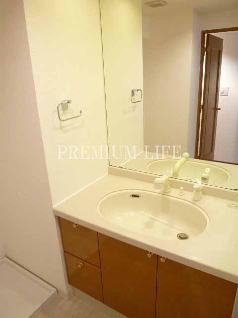 Wash basin, toilet. Bathroom vanity