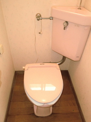 Toilet. Toilet space