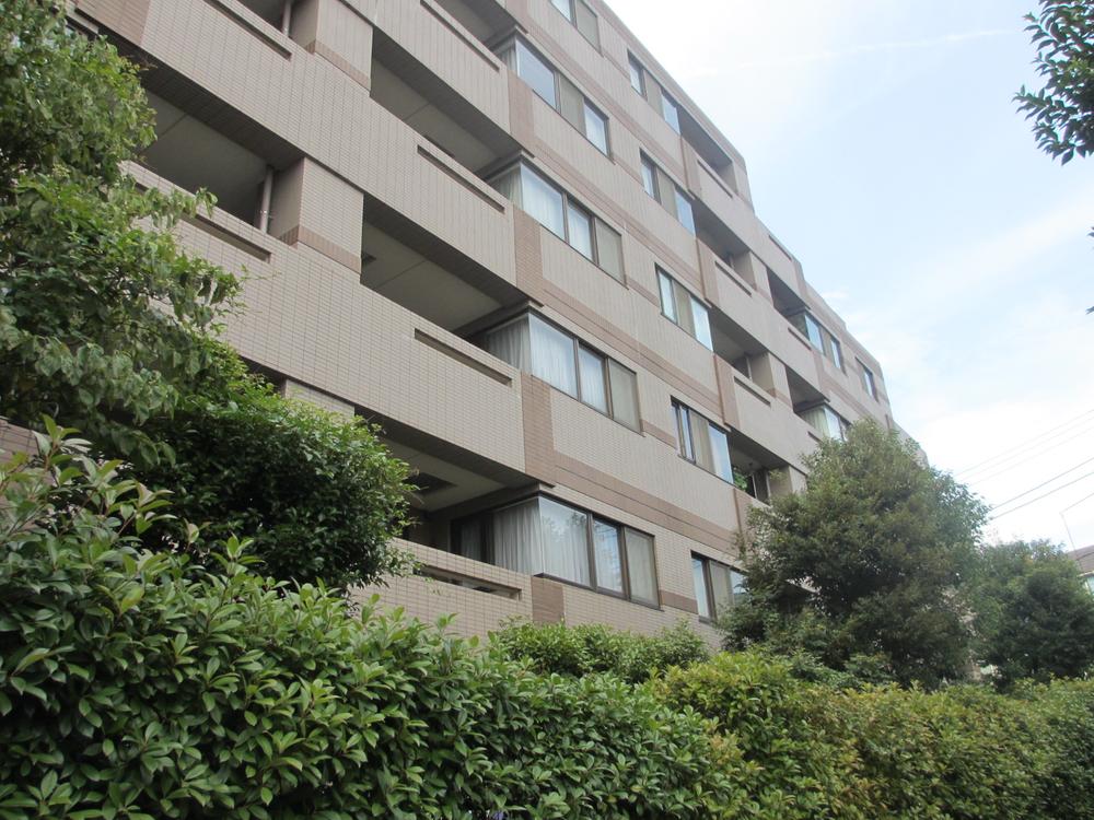 Local appearance photo. Local (September 2013) Shooting