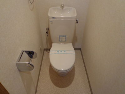 Toilet. It will be in the toilet.