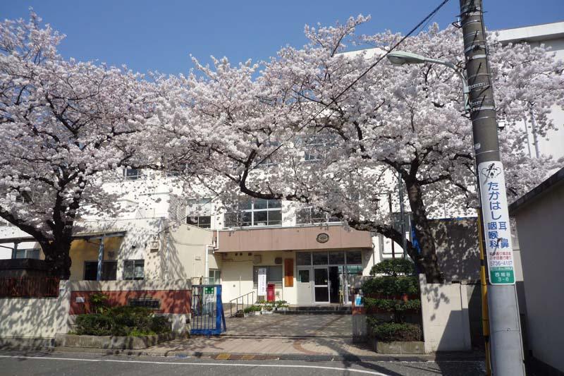 Junior high school. 881m to Ota Ward Kojiya Junior High School