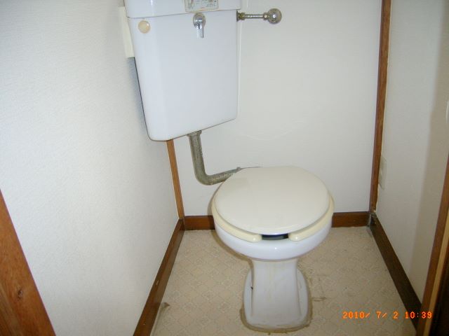 Toilet. Reference photograph (another room)