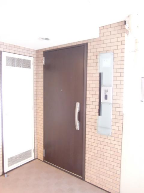 Entrance. Entrance door