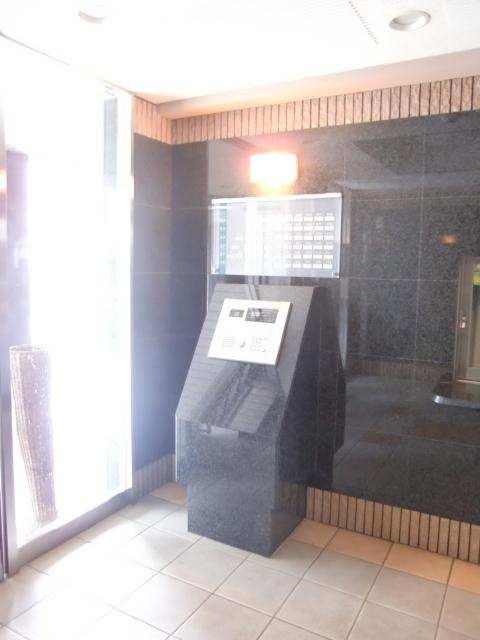 Entrance. Intercom with TV monitor