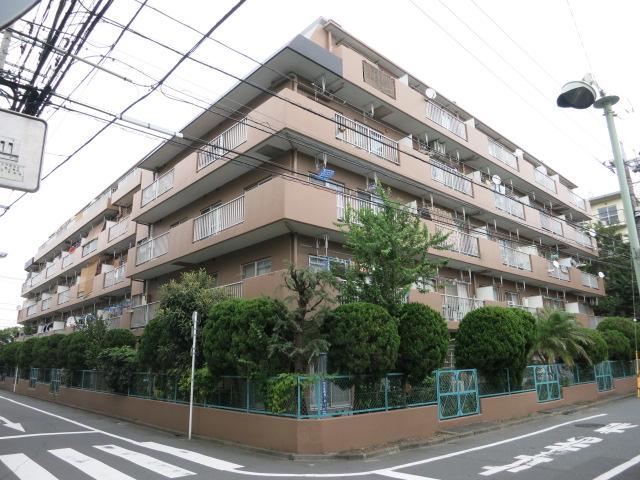 Local appearance photo. Local (August 2013) Shooting