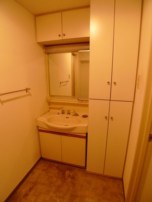 Washroom. Shampoo dresser