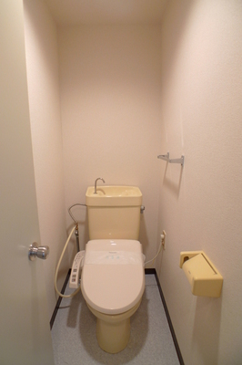 Toilet. Cleaning toilet seat