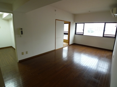 Living and room. living 12.1 Pledge